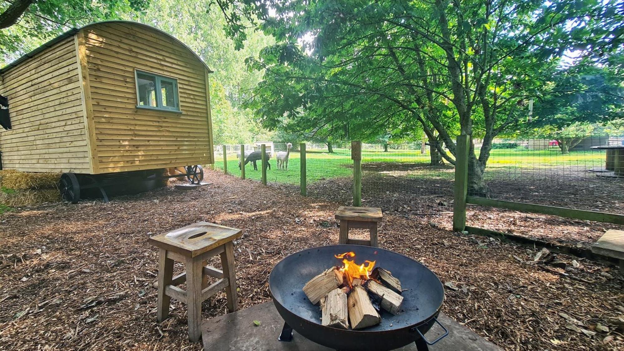 Horsley Hale Farm Glamping Hotel Ely Room photo